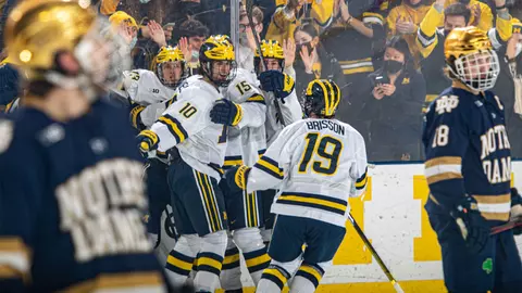 Ice Hockey Generic - CelebrationIce Hockey Generic - Celebration