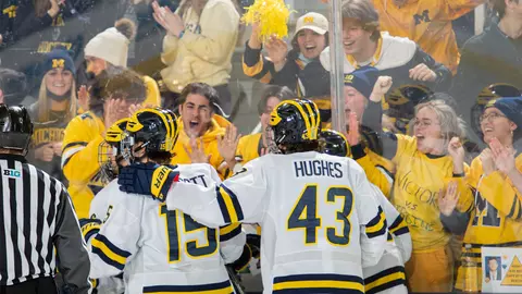 Ice Hockey Generic - Celebration