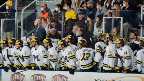 Ice Hockey Generic - Celebration