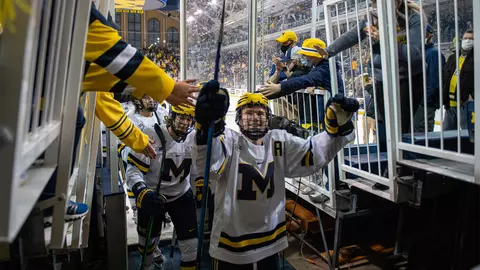 Ice Hockey Generic - Postgame Celebration