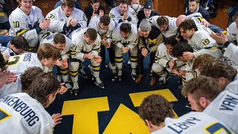 Ice Hockey Generic - Locker Room Celebration