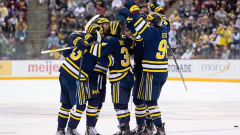 Ice Hockey Generic - Celebration