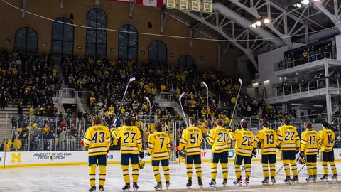 Ice Hockey Generic - Team