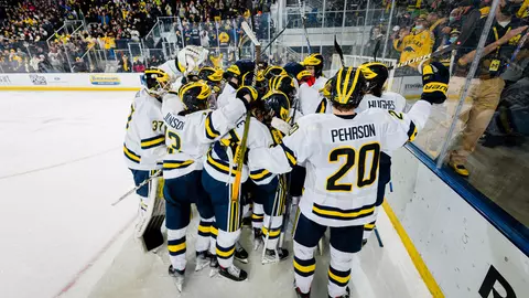 Ice Hockey Generic - Postgame Celebration