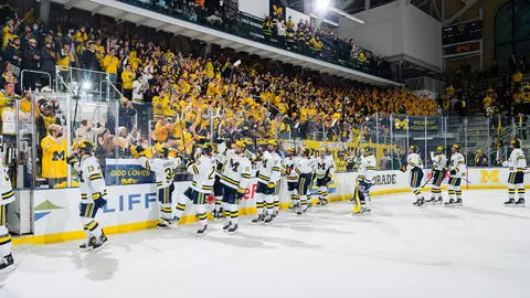 Ice Hockey Generic - Postgame Celebration