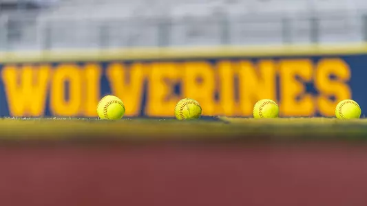 Softball generic balls weather grass