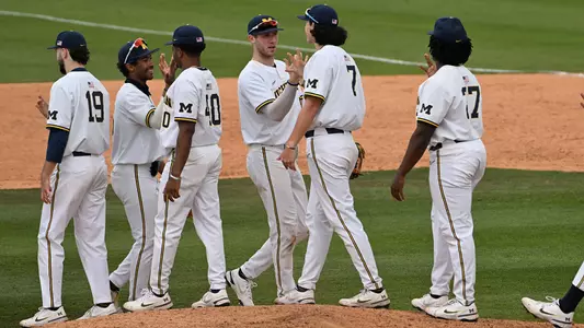 Baseball high five