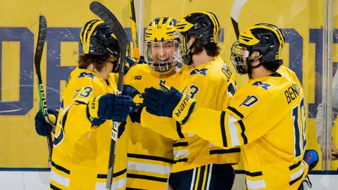 Ice Hockey goal celebration