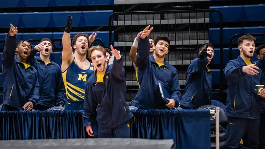 Michigan Men's Gymnastics