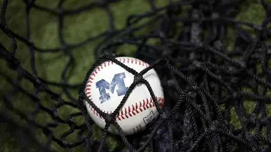 Baseball Ball Generic