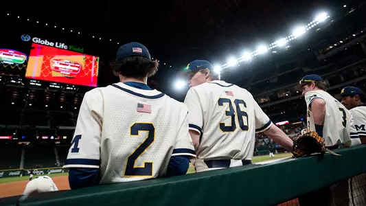 Baseball Dugout
