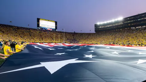 MGoTroops American Flag