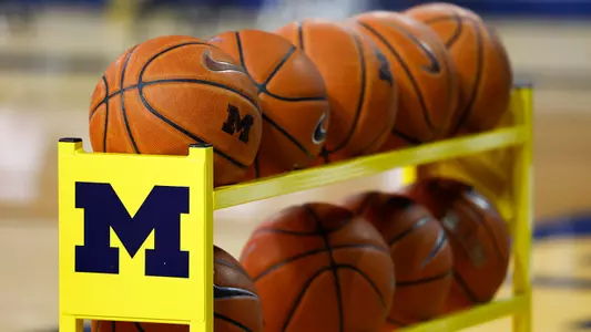 Men's Basketball Rack of Balls Generic