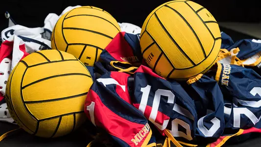 Water Polo Balls and Caps Generic