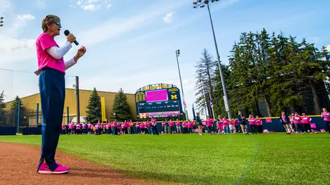 Michigan Softball Academy 2017