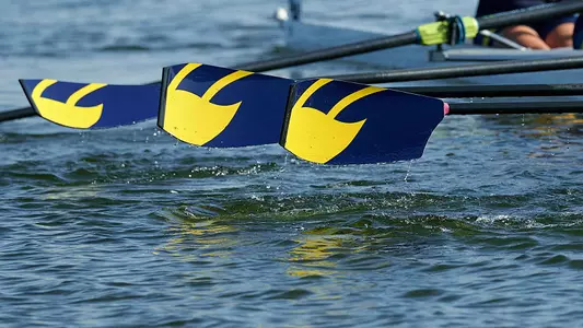 Rowing Michigan Oars