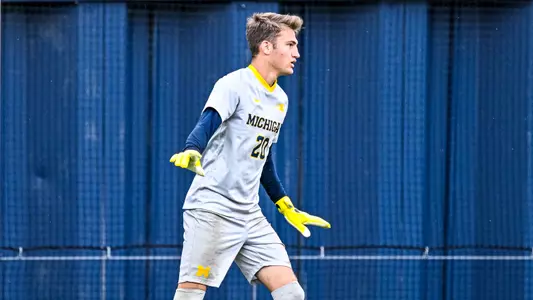 Ethan Wood (Sam Janicki)