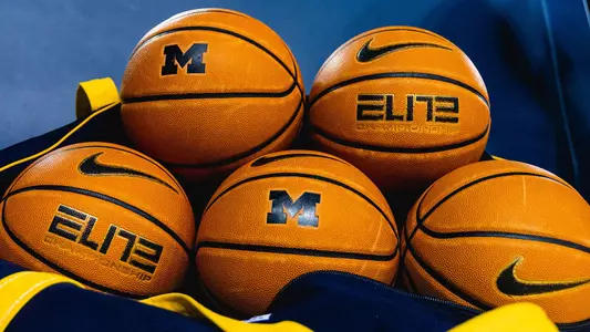 Men's Basketball Bag and Balls Generic