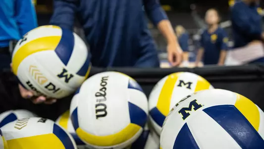 Volleyball generic balls