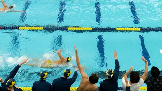 Men's Swimming and Diving Cheering