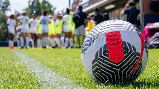 Women's Soccer Ball Generic