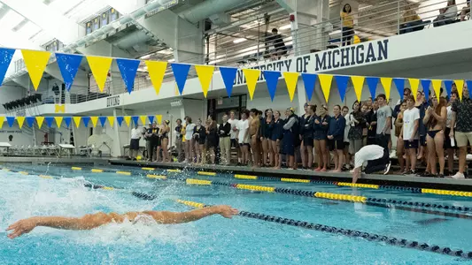 Men's Swimming and Diving Canham generic