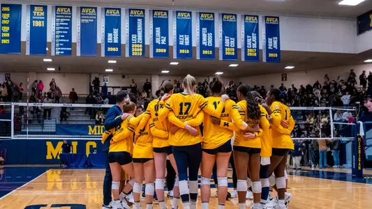 Volleyball Team Huddle