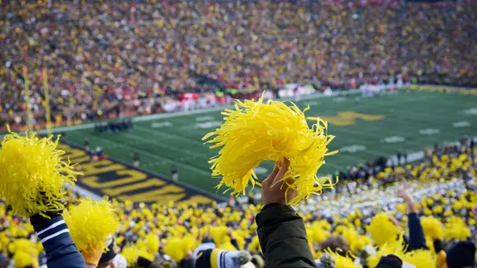Fans Michigan Stadium Poms Generic