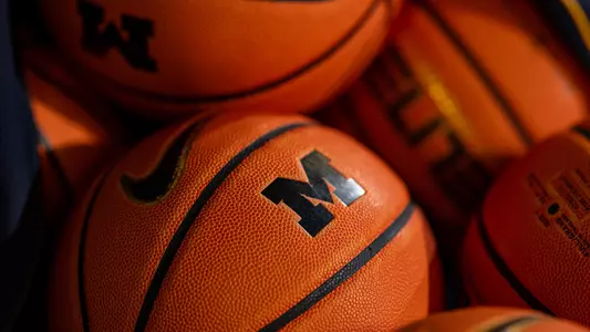 Men's Basketball Pile of Basketballs Generic
