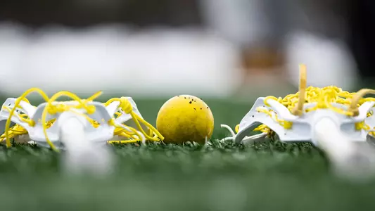 Women's lacrosse generic stick ball