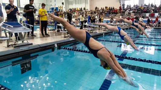 Women's Swimming Generic