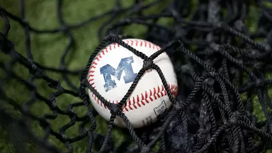 Baseball Ball in Netting Generic