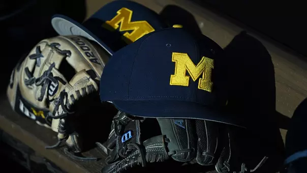 Baseball Hats and Gloves Generic