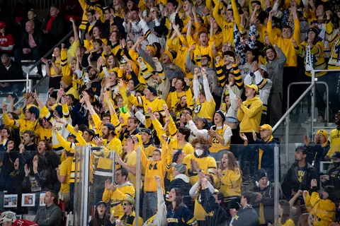 Ice Hockey Big Ten Tournament Page