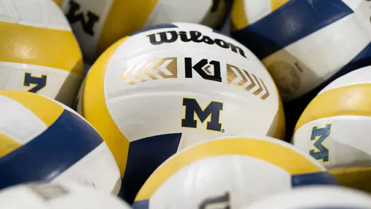 Volleyball Balls Generic