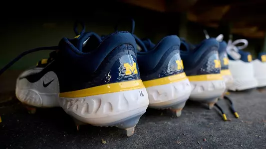Softball generic nike cleats dugout