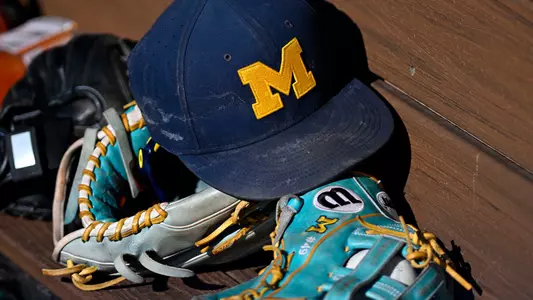 Baseball Hat and Gloves Generic