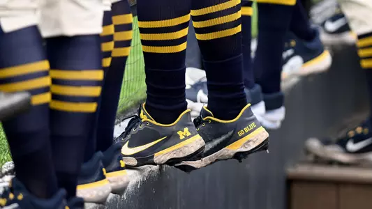 Baseball Cleats Generic