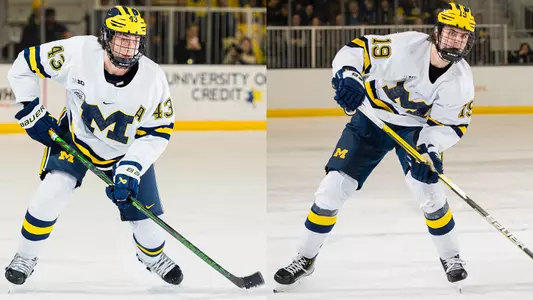 Luke Hughes (left) and Adam Fantilli