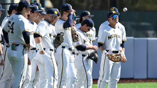 Baseball Team Huddle