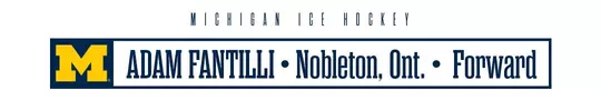 Adam Fantilli header graphic