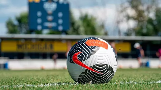 Women's Soccer Ball Generic