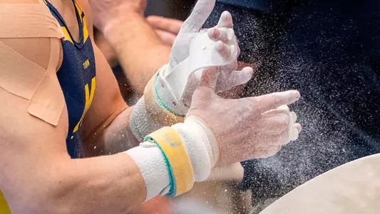 Men's Gymastics Chalk Generic