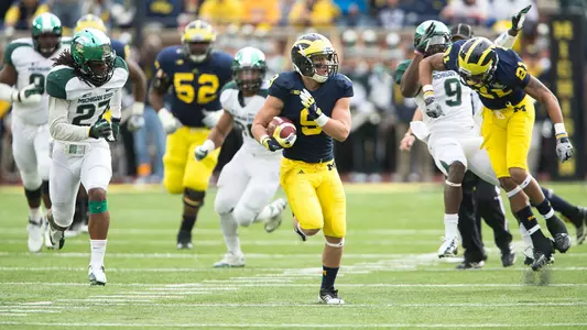 Drew Dileo