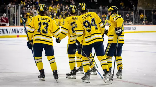 Ice Hockey Group Huddle