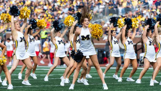 Michigan Dance Team