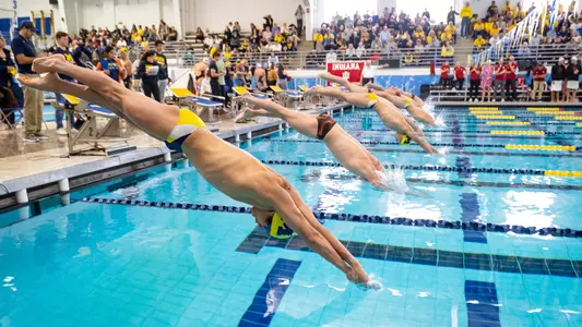 Men's Swimming and Diving Race Start