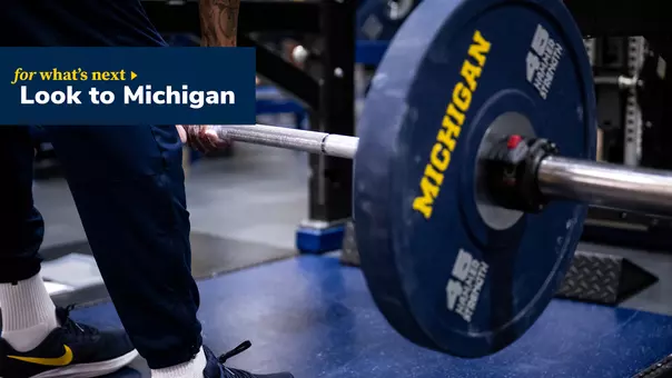 Look to Michigan fundraising campaign