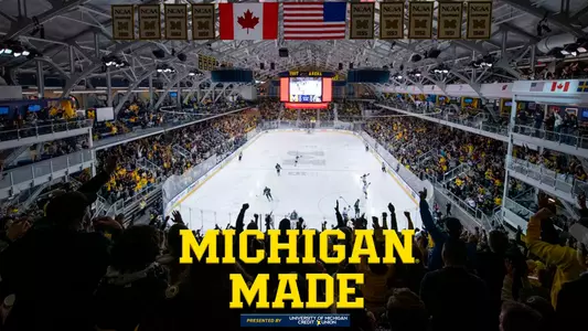 Michigan Made: Hockey Graphic
