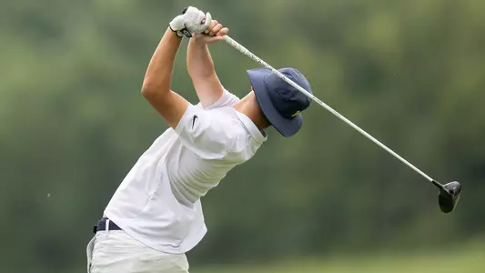 Men's golf back swing generic